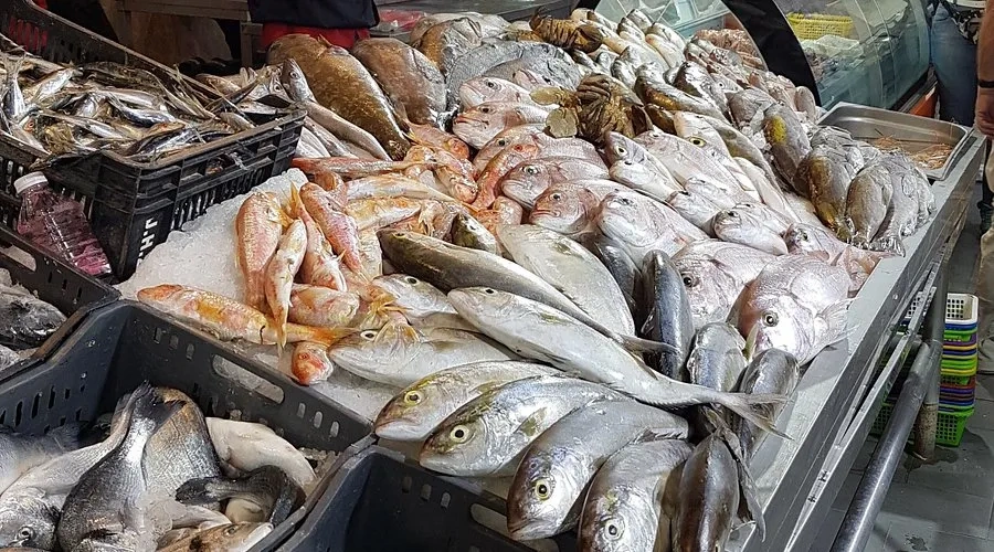 Image of: Fresh Fish Merchant Tirunelveli Tenkasi Tamil Nadu 6