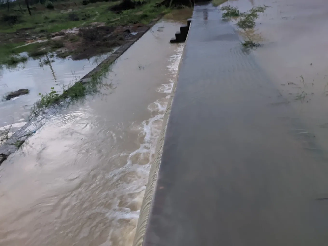 Image of: Kalingal Anai Muthammalpuram Devarkulam Tamil Nadu 6