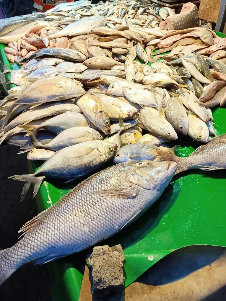 Image of: Kani Fish Stall Fresh Seafood In Tirunelveli Tamil Nadu 4