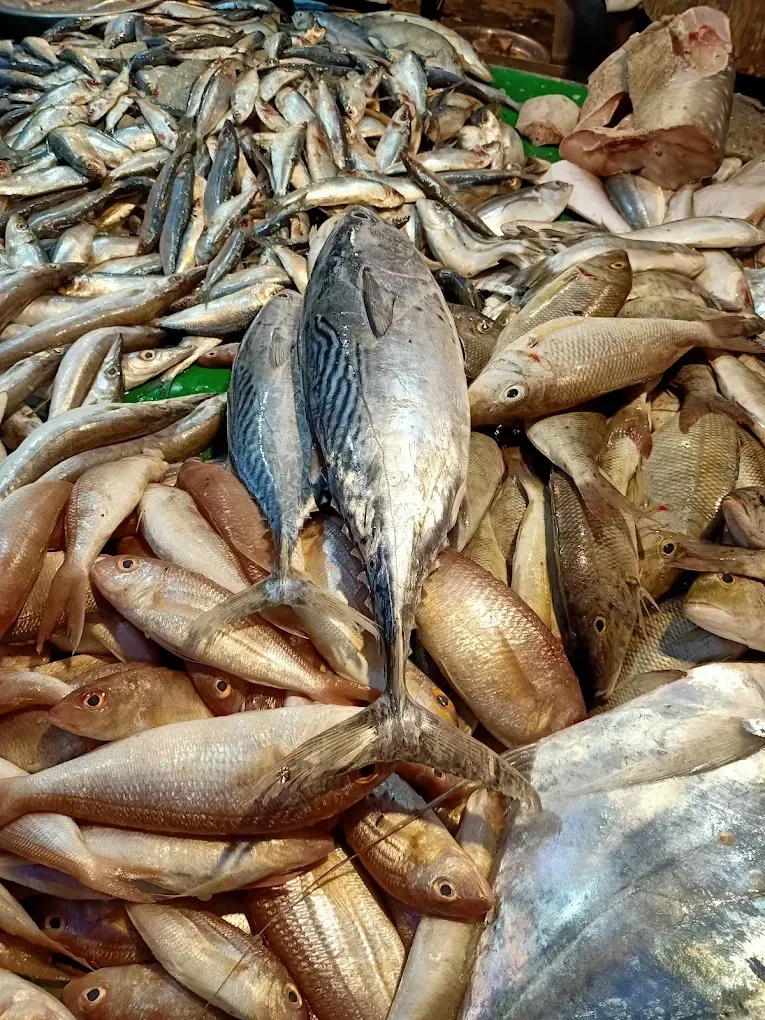 Image of: Kani Fish Stall Fresh Seafood In Tirunelveli Tamil Nadu 6