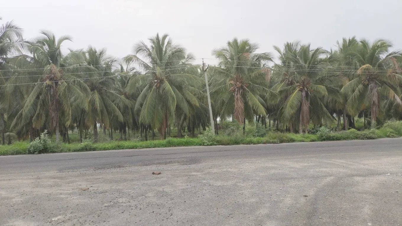 Image of: Koothankuli Vilakku Thiruvambalapuram Tamil Nadu