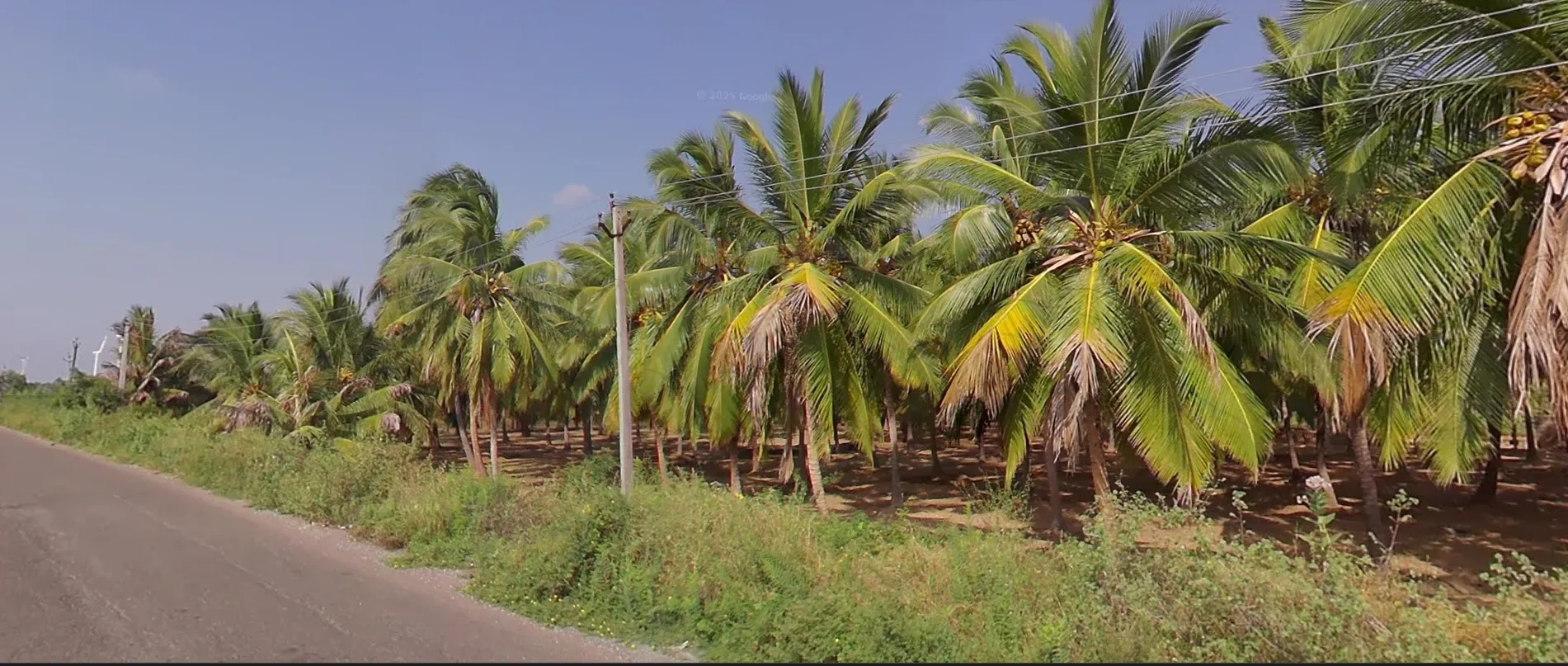 Image of: Koothankuli Vilakku Thiruvambalapuram Tamil Nadu 3