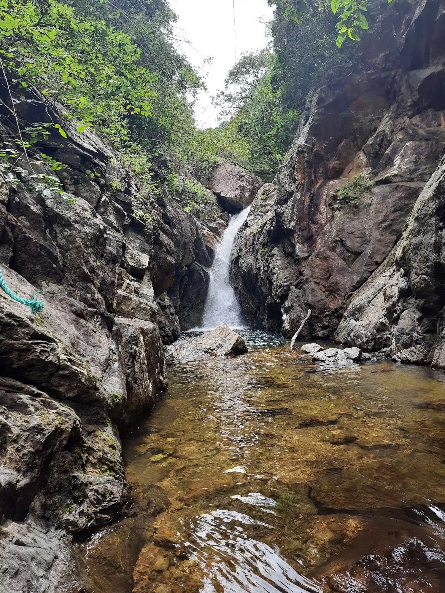 Image of: Nambiyaru Stream Kalakadu RF Tamil Nadu Scenic Tourist Spot 2