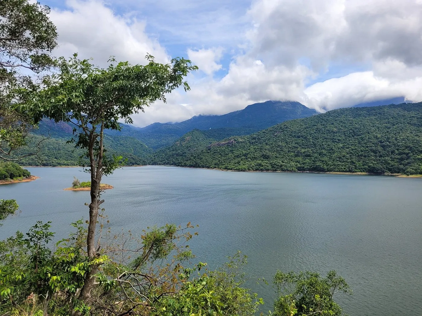 Image of: Nambiyaru Stream Kalakadu RF Tamil Nadu Scenic Tourist Spot 3