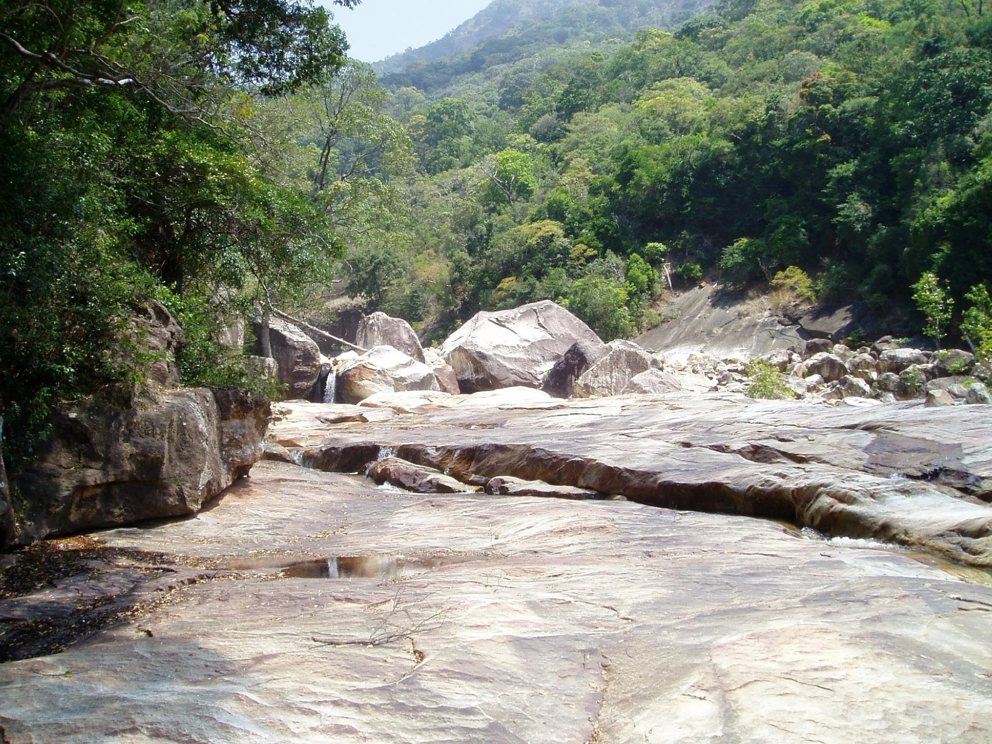 Image of: Nambiyaru Stream Kalakadu RF Tamil Nadu Scenic Tourist Spot