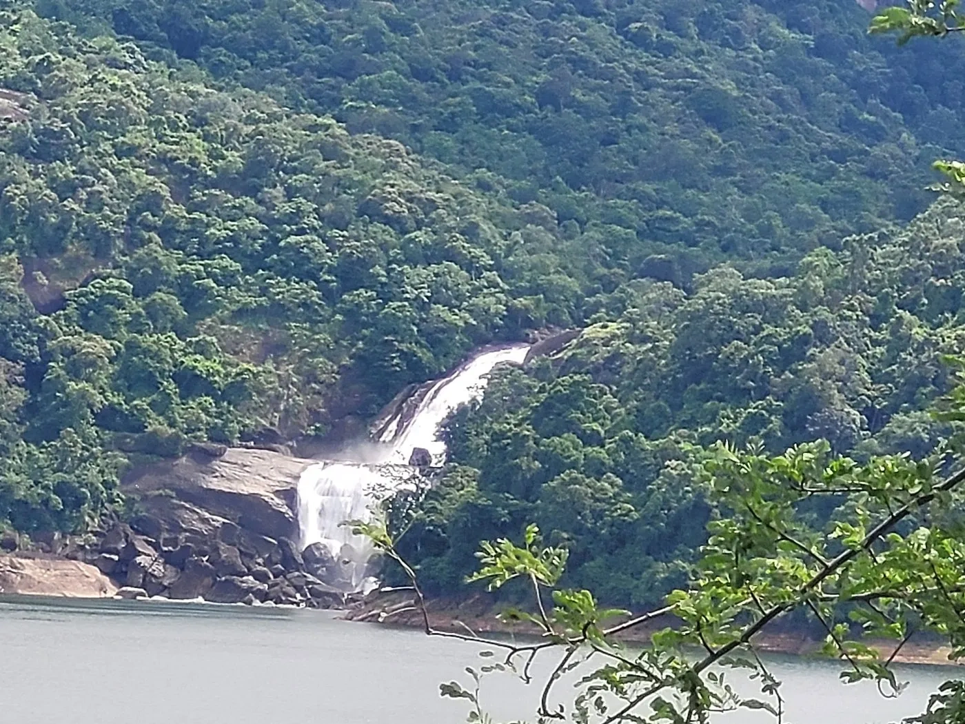 Image of: Nambiyaru Stream Kalakadu RF Tamil Nadu Scenic Tourist Spot