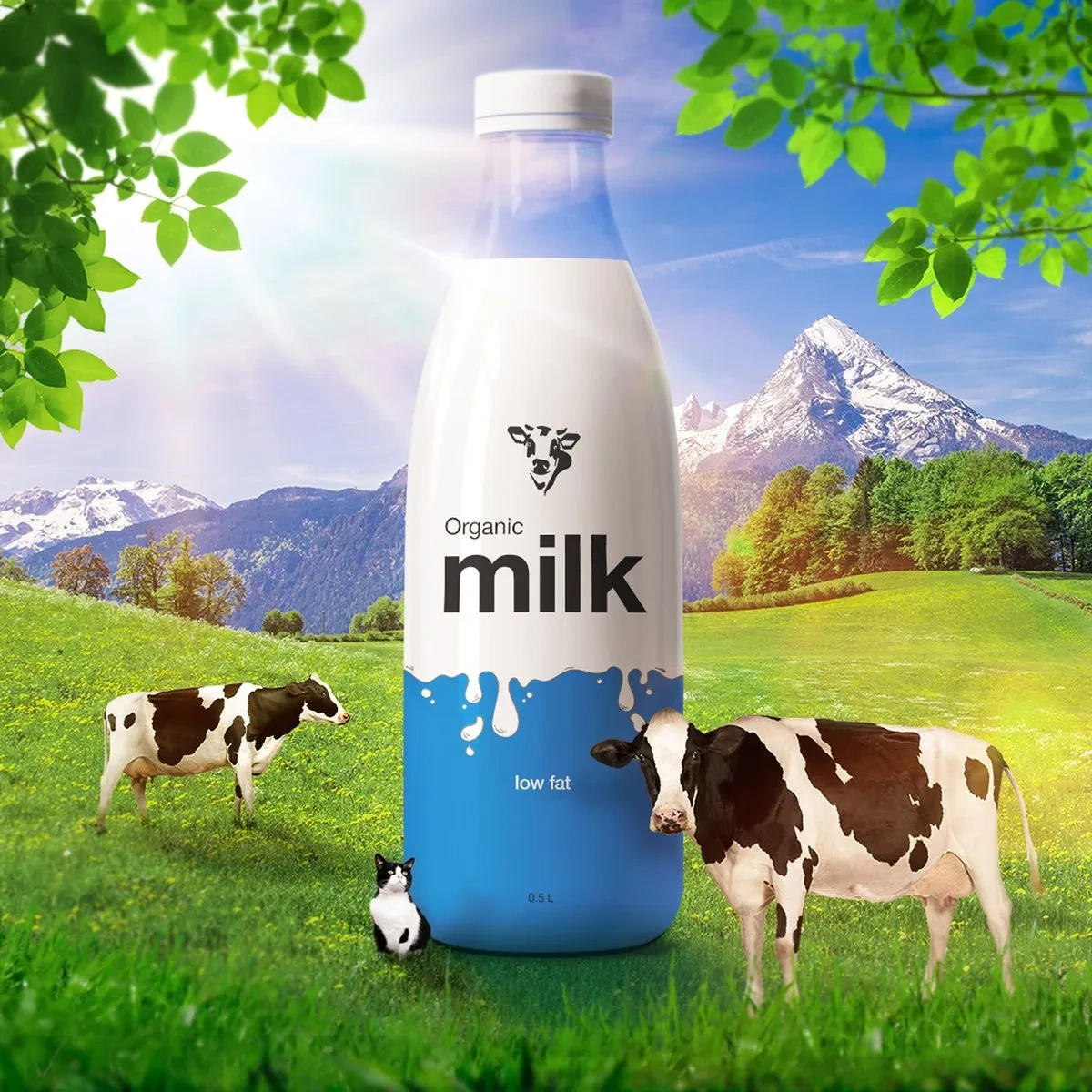 Image of: Natchathira Dairy Products Singampathu Kalakkad