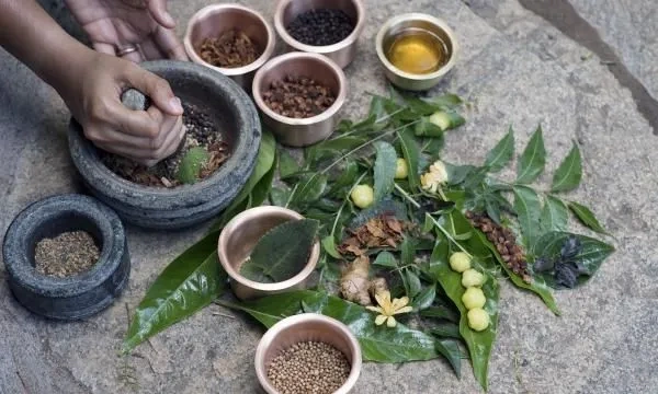 Image of: சித்த வர்ம வைத்திய சாலை, Sidda and Varma Hospital - Traditional Siddha Treatments