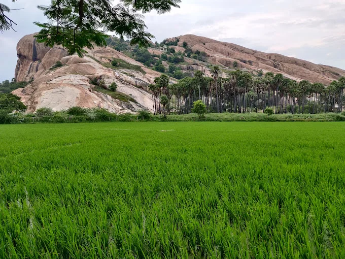 Image of: Thiruparankundram Eco Park in Thiruparankundram 6
