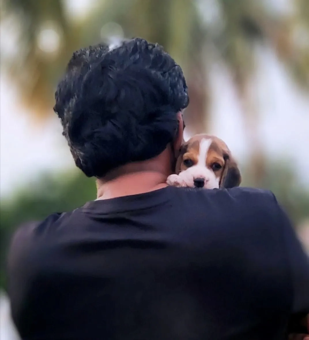 Image of: Veterinary Doctor Mahalingam Eb Colony Valliyur 5