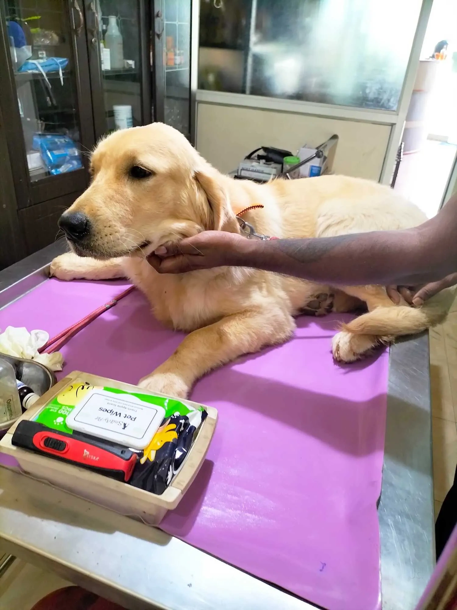Image of: veterinary hospital Tennirkulam 2