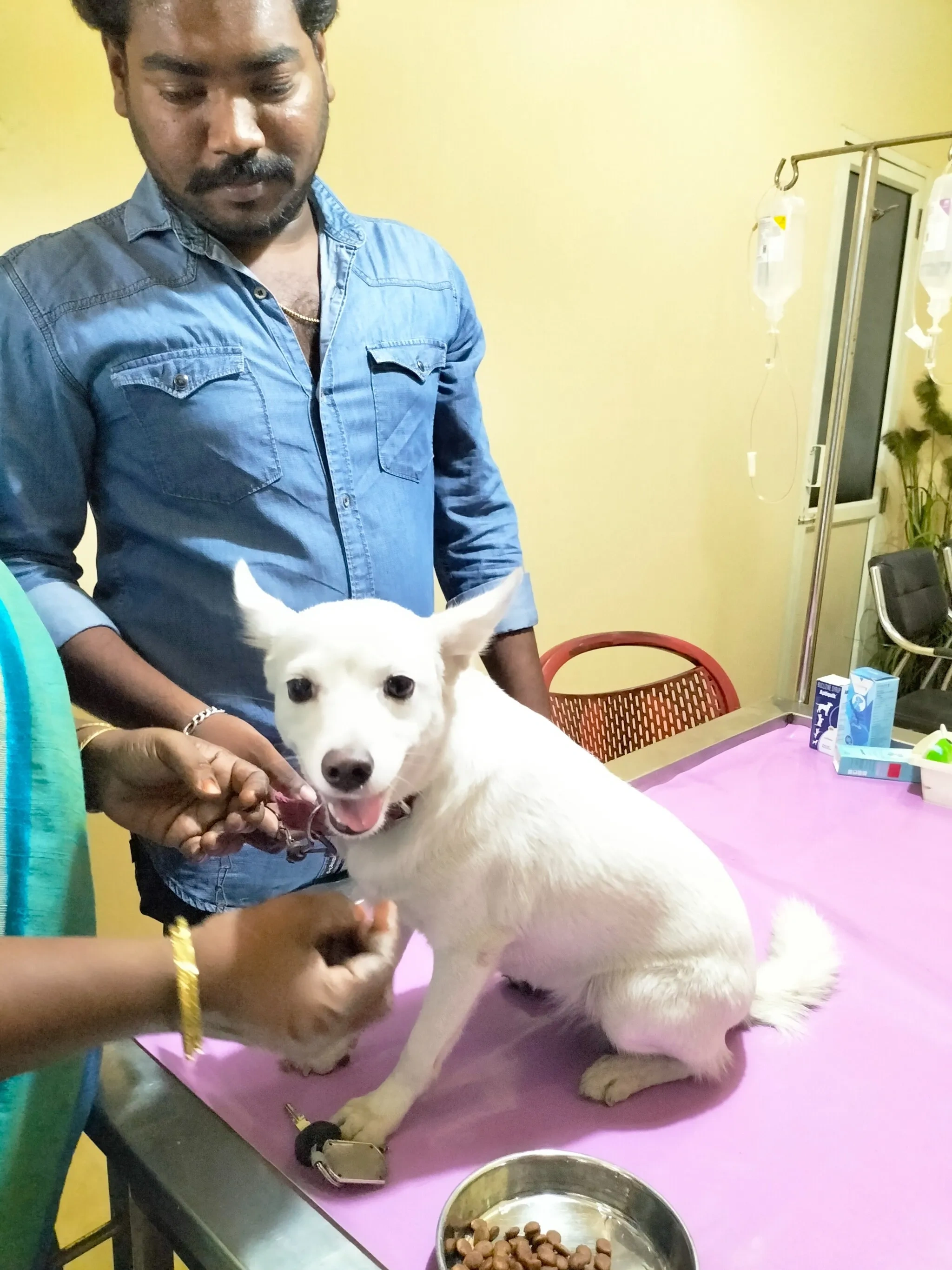 Image of: veterinary hospital Tennirkulam 5