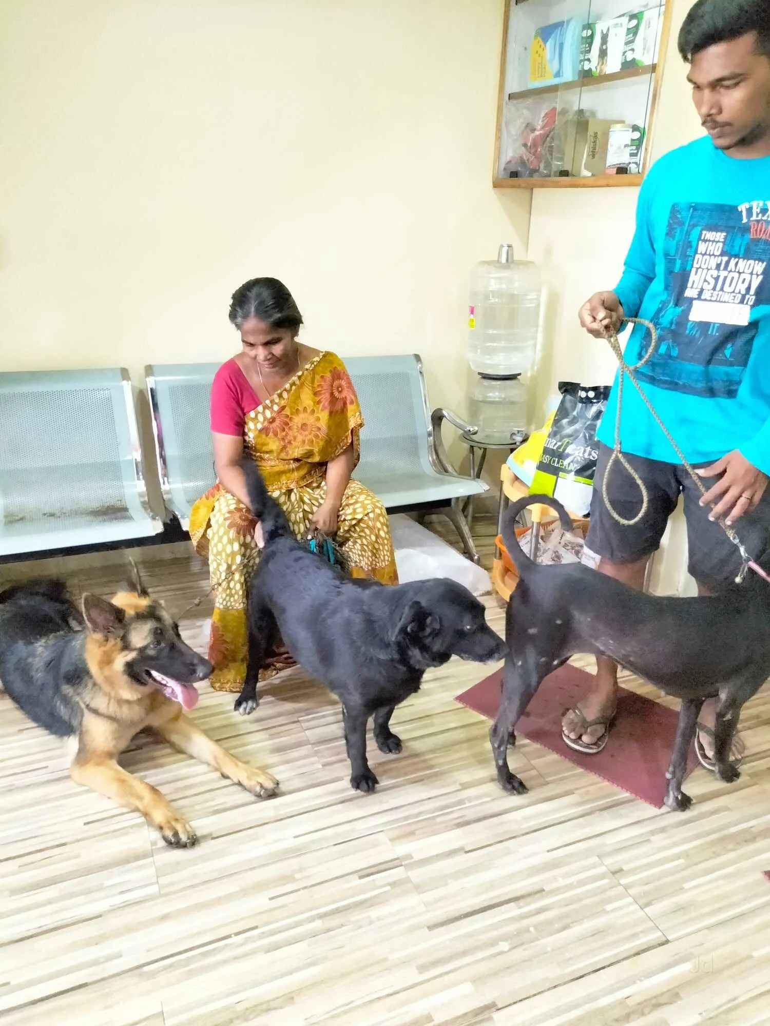 Image of: veterinary hospital Tennirkulam 6