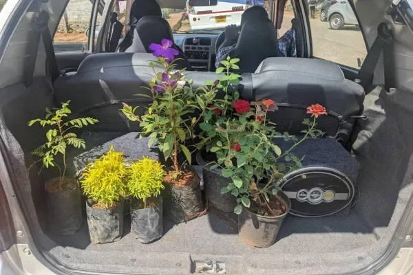 Image of: J.R Restaurant