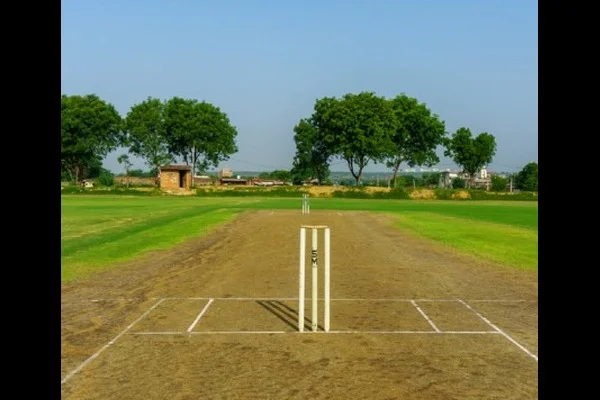 Image of: VIVAN Cricket Club - Cricket Club and Youth Training