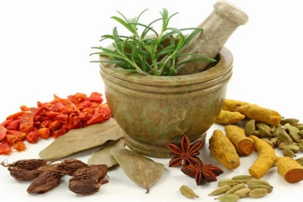 Image of: Sri Siddhalayam Siddha Varma Vaidyasalai Treatments