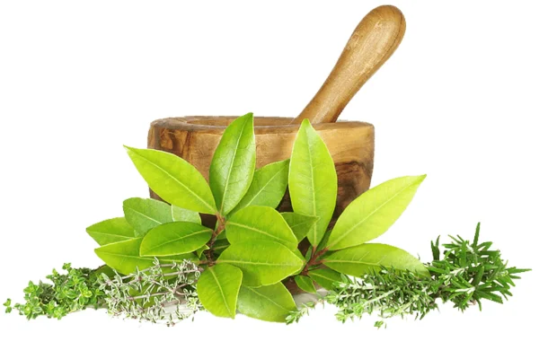 Image of: Vaidyar Home Eraniel - Authentic siddha Healing