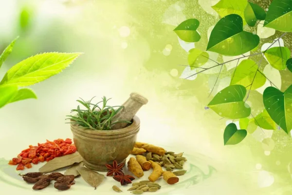 Image of: Satheesh Siddha Marma Vaidya Salai Melpuram Services