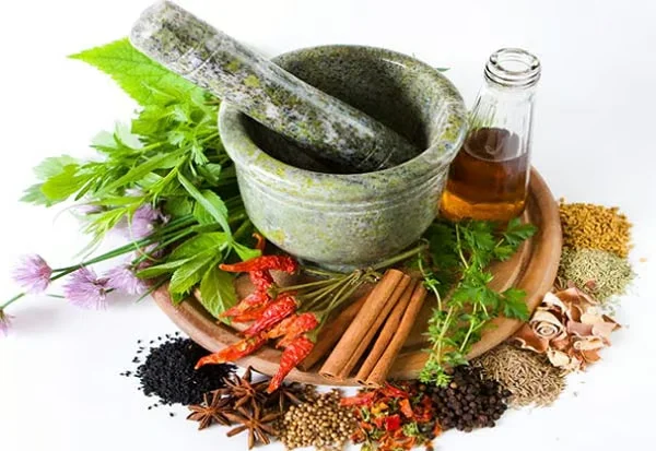 Image of: Rajamony Asan Siddha Vaidhiasalai for Holistic Healing