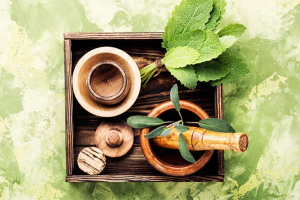 Image of: Renu's Modern Naturopathy Clinic Palayamkottai Best Healing