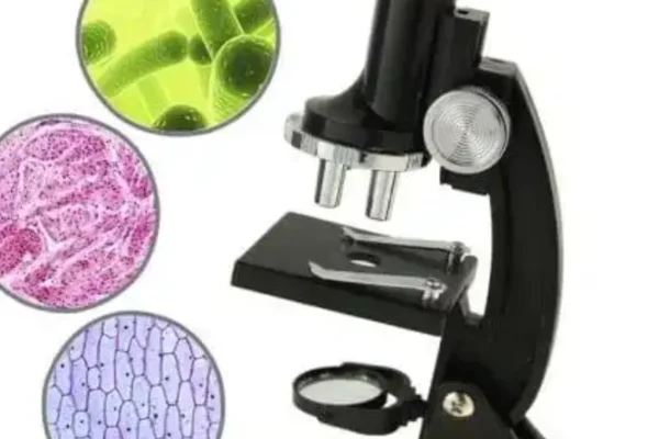 Image of: Bharat Lab Tirunelveli Accurate and Fast Diagnostic Testing