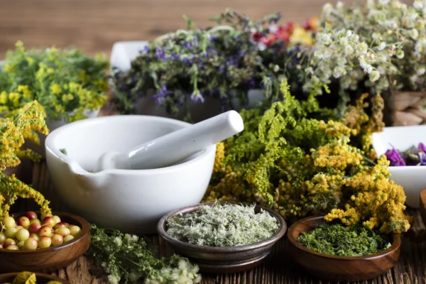 Image of: Royal Ayurvedic Health Center Authentic Ayurveda in Tirunelveli