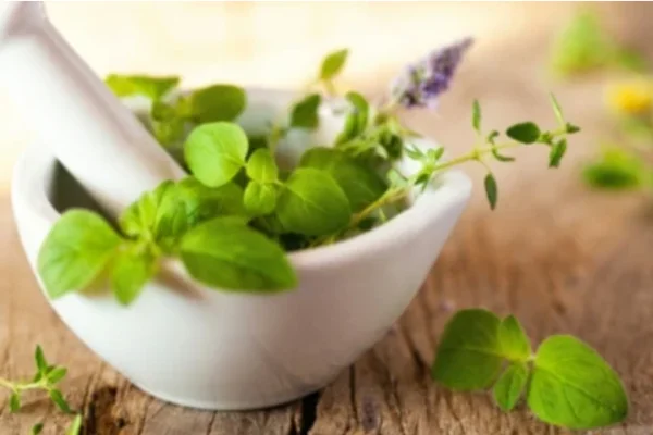 Image of: Nellai Siddha Varma Centre Healing in Tirunelveli