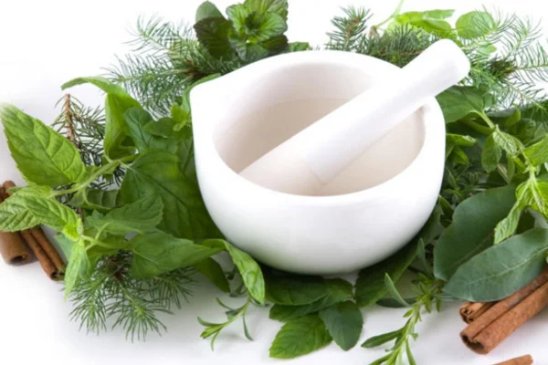 Image of: Dr. Radhakrishnan Siddha Clinic Healing Tirunelveli