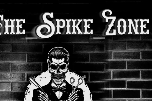 Image of: The Spike Zone Hair Style Best Men's Salon  Grooming Services