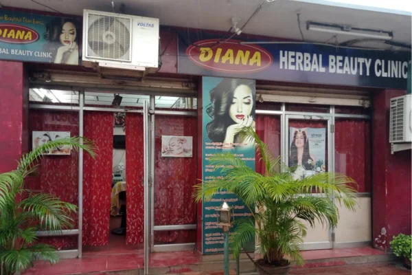 Image of: Diana Herbal Beauty Clinic Best Herbal Beauty And Skincare in Tirunelveli
