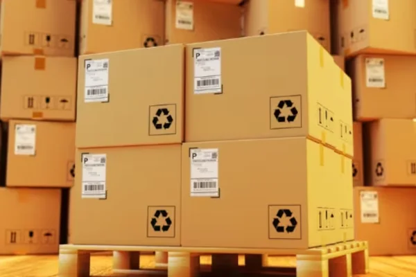 Image of: Boss Parcel Service Tirunelveli Fast and Secure Delivery