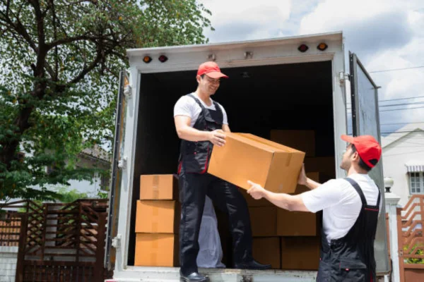 Image of: The Professional Couriers Services in kallidaikurichi