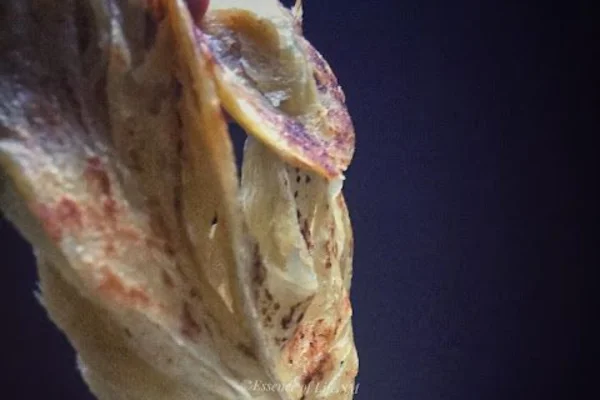 Image of: Rani Parotta Stall Best Crispy Parotta and Tasty Side Dishes