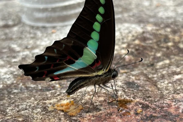 Image of: RK Studio in Nagercoil