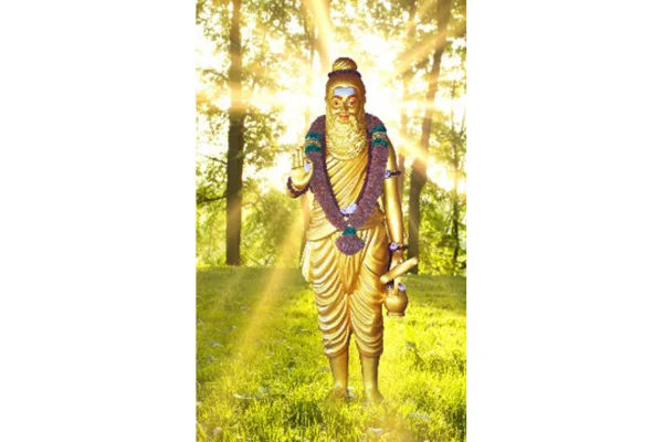 Image of: Pothigai Siddhar Devaamirth Pvt Ltd Quality Products