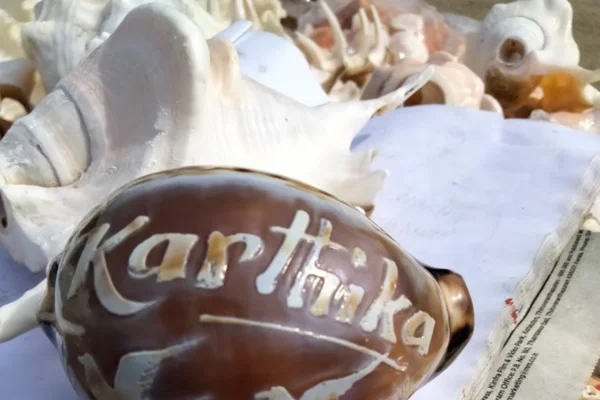 Image of: John Sea Shell Shop in Kanyakumari for Unique Shell Products