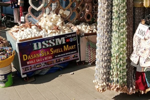 Image of: Dasan Sea Shell Mart Kanniyakumari Unique Shell Handicrafts