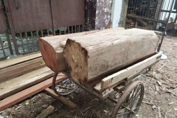 Image of: Shalon Sawmill in Kuzhithurai West