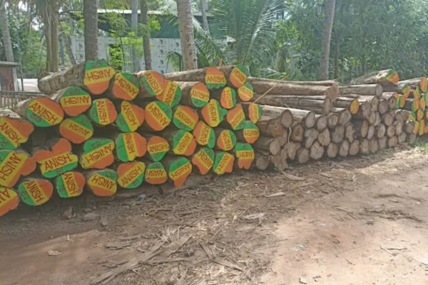 Image of: RTN Anish Timbers in  Eathamozhi