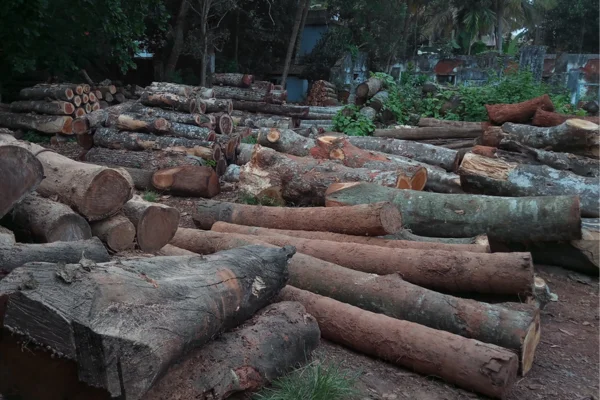 Image of: Neelakandapillai and Sons Sawmill and Crane Service Karungal