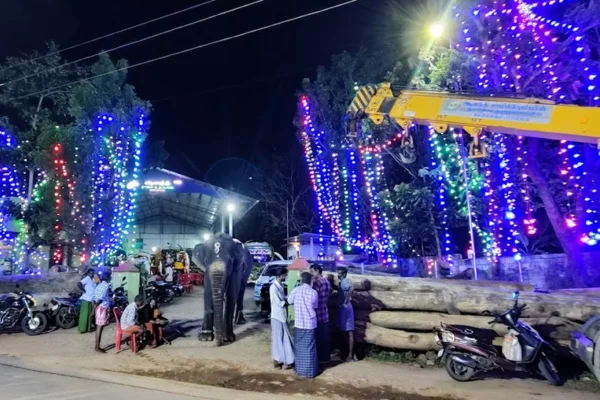 Image of: NPN Anand Sawmill Quality Timber Supply Eraniel