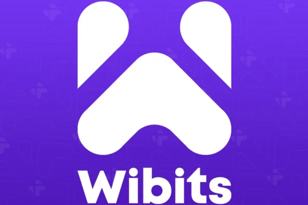 Image of: Wibits Web Solutions Nagercoil Web Design SEO Marketing