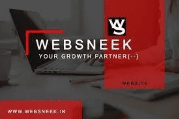 Image of: Websneek IT and Cloud Solutions Nagercoil E-Commerce