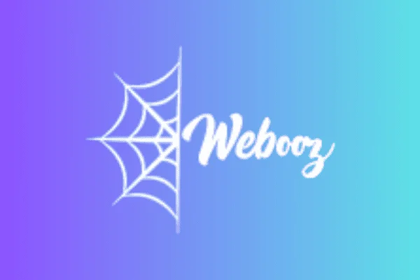 Image of: Webooz Nagercoil Web Development Digital Marketing
