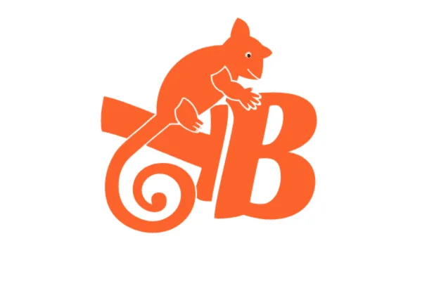 Image of: Brushtail Technology in Nagercoil IT Security Cloud Solutions