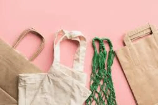 Image of: Sree Ram Packaging Nagercoil Paper and Cotton Bag Maker