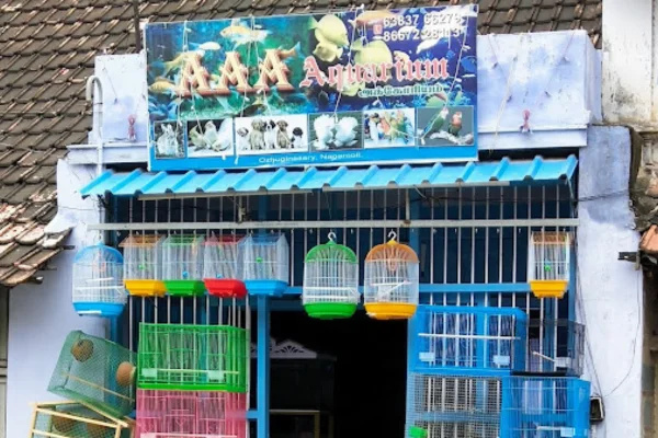 Image of: ANM Aquarium World in Nagercoil Tamil Nadu