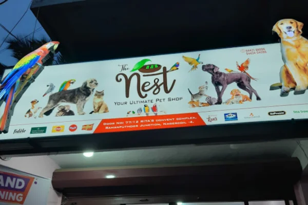 Image of: Vijila Aquariyum Pet Shop in Edalakudi Nagercoil