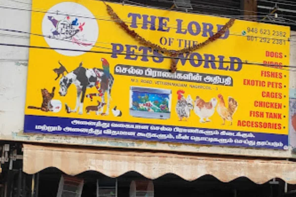 Image of: Dogsea Kennel in Ananthanadarkudy Tamil Nadu