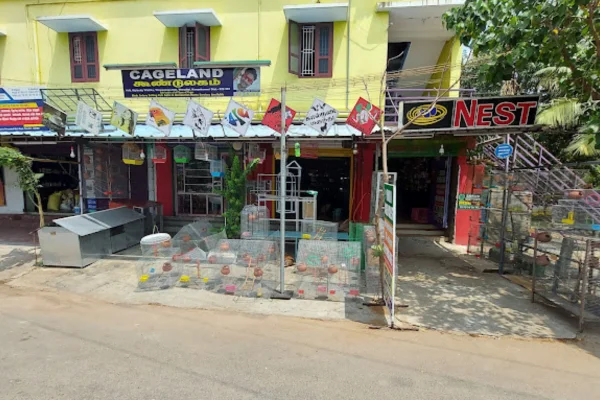 Image of: Sasi Fish Shop in Tamil Nadu | Fresh Fish & Seafood